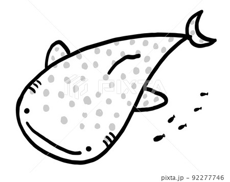 かわいいジンベイザメと小魚のモノクロイラスト 手描きイラスト素材のイラスト素材