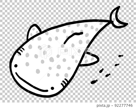 かわいいジンベイザメと小魚のモノクロイラスト／手描きイラスト素材 92277746