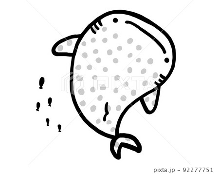 かわいいジンベイザメと小魚のモノクロイラスト／手描きイラスト素材 92277751
