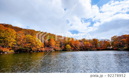 仙人池の紅葉(笹ヶ峰高原) 仙人池の紅葉(笹ヶ峰高原) 92278952
