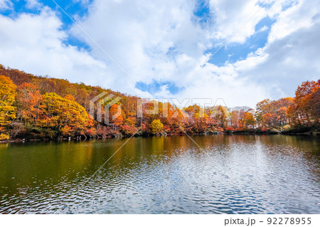 仙人池の紅葉(笹ヶ峰高原) 仙人池の紅葉(笹ヶ峰高原) 92278955