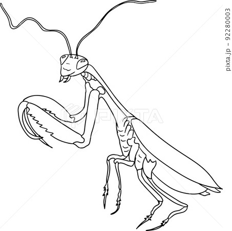 coloring pages of praying mantis