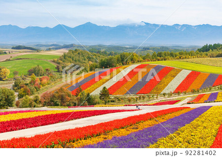 北海道美瑛の広大な大自然「四季彩の丘」 92281402