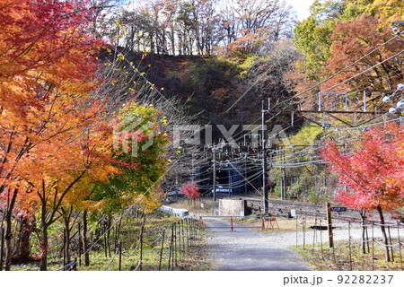 群馬県安中市 アプトの道ハイキングコースの旧熊ノ平駅と紅葉 群馬県安中市 アプトの道ハイキングコースの旧熊ノ平駅と紅葉 92282237