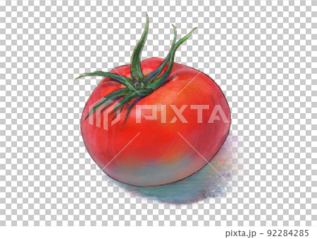 Tomato watercolor illustration 92284285