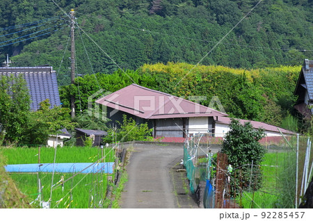 夏の田舎道　青根の農道 92285457