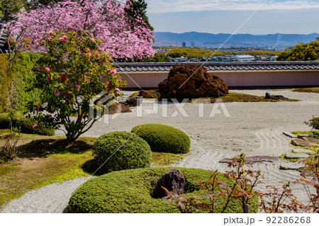 京都市西京区大原野正法寺の桜を撮影 92286268