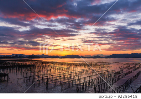 広島、地御前の夜明け(広島県廿日市市地御前) 広島、地御前の夜明け(広島県廿日市市地御前) 92286418