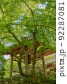 Shrine bell, 神社の鐘 92287081