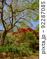Japanese Garden, 日本の庭園 92287085