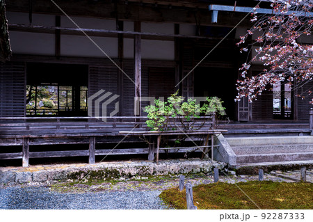 京都市右京区京北井戸町常照皇寺の桜を撮影 92287333