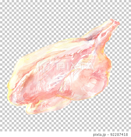用水彩畫的整隻雞的插圖 用水彩畫的整隻雞的插圖 92287418