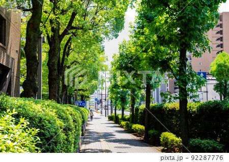 広島市役所沿いの緑の歩道風景です。緑が鮮やかなトンネルのようです。市役所から東方面を展望。広島県 92287776