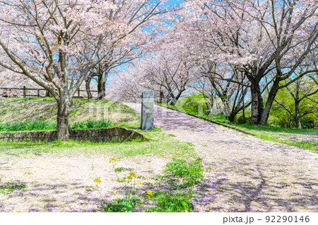春空を背景に美しい桜満開風景「木山城跡」お花見スポット・観光名所 92290146