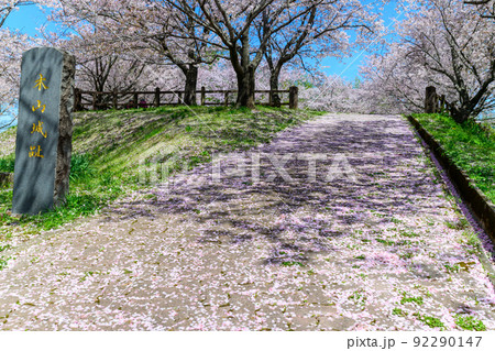 春空を背景に美しい桜満開風景 木山城跡 お花見スポット 観光名所の写真素材