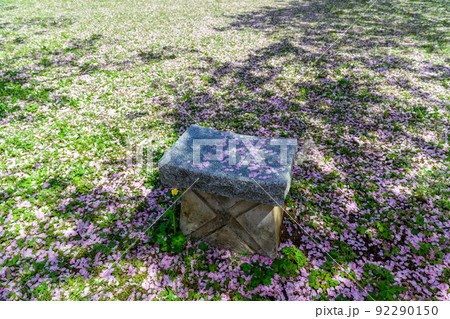 うららかな春・ベンチ石像に桜散る風景「木山城跡」お花見スポット・観光名所 92290150