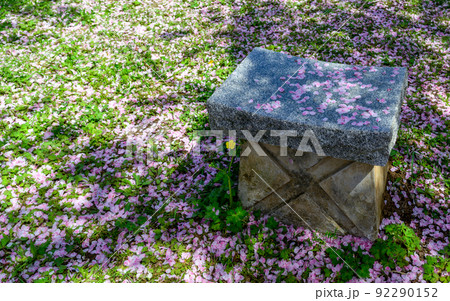 うららかな春 ベンチ石像に桜散る景色「木山城跡」お花見スポット・観光名所 うららかな春 ベンチ石像に桜散る景色「木山城跡」お花見スポット・観光名所 92290152