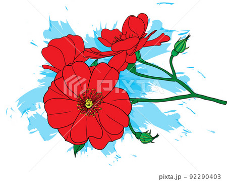 Abstract red rose flower are blooming with color splashed background. 92290403