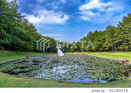 宮崎　みそぎ池　パワースポット　神話　古事記　 92290418
