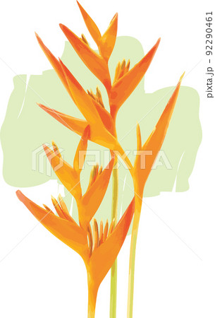 Abstract of Yellow Heliconia flower blooming on color paint background. 92290461