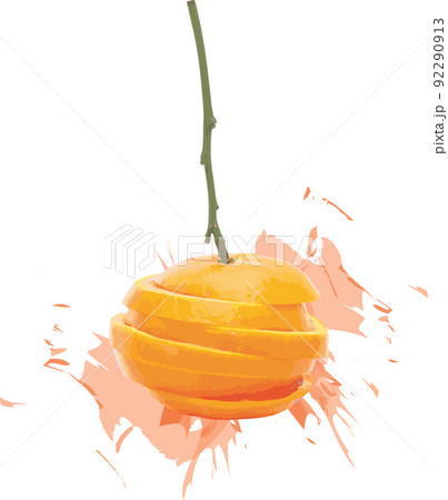 Abstract of orange fruits on white background with color spread. Abstract of orange fruits on white background with color spread. 92290913
