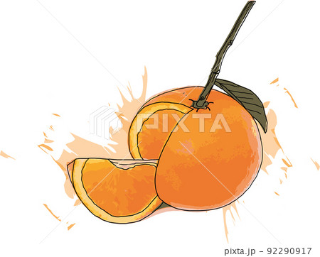 Abstract of orange fruits on white background with color spread. Abstract of orange fruits on white background with color spread. 92290917