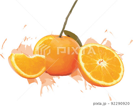 Abstract of orange fruits on white background with color spread. Abstract of orange fruits on white background with color spread. 92290920