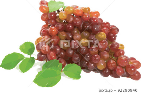 Abstract of red grape on white background. 92290940