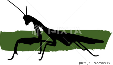 Silhouette of Female Asia Mantis with color paint on white background. (Scientific name Hierodula patellifera) 92290945