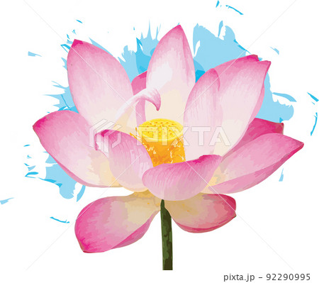 Abstract of lotus flower with color splashed on white background. 92290995