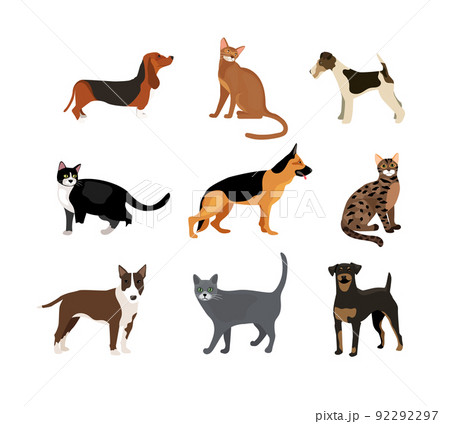 Cats and dogs vector illustration 92292297