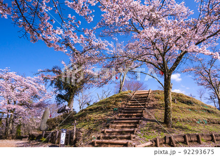 岩殿城跡の春風景 92293675