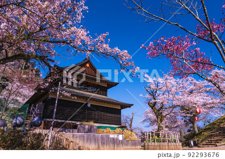 岩殿城跡の春風景 92293676