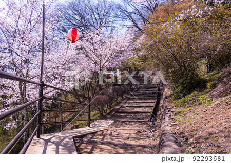 岩殿城跡の春風景 岩殿城跡の春風景 92293681