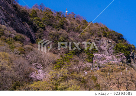 岩殿城跡の春風景 92293685