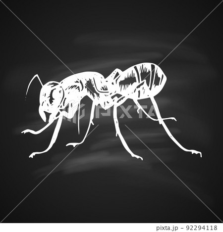 Ant Icon Ant Icon 92294118