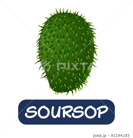 cartoon soursop fruit vector isolated on white background 92294285