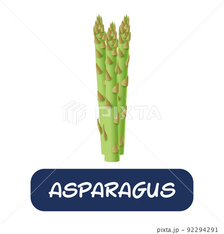 cartoon asparagus vegetables vector isolated on white background 92294291