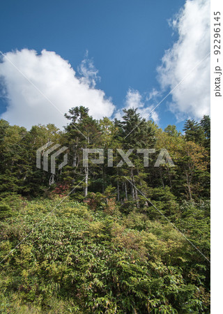長野県下高井郡山ノ内町の浅間白根志賀さわやか街道沿いの横手山・渋峠にあるスカイレーターからの景色 長野県下高井郡山ノ内町の浅間白根志賀さわやか街道沿いの横手山・渋峠にあるスカイレーターからの景色 92296145