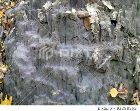 Texture of dirty gray snow. Snow pile in spring covered with dust, dirt, grey, streaks 92298565
