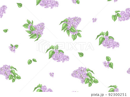 Seamless background with lilac flowers. Vector illustration Seamless background with lilac flowers. Vector illustration 92300251