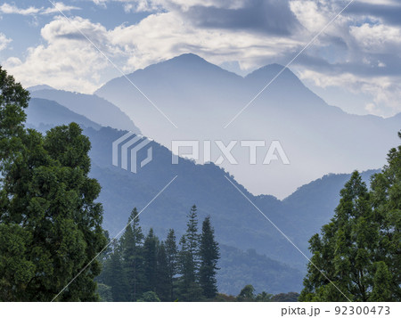 台湾・日月潭周辺の森 92300473