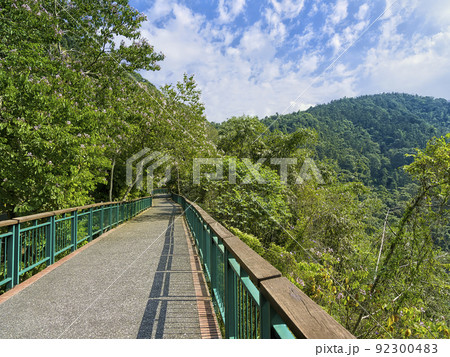 台湾・日月潭 緑に囲まれた遊歩道 92300483