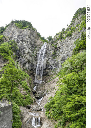 白山白川郷ホワイトロード「ふくべの大滝」 白山白川郷ホワイトロード「ふくべの大滝」 92305624
