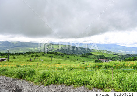車山スカイパークスキー場に咲くニッコウキスゲ 車山スカイパークスキー場に咲くニッコウキスゲ 92308011