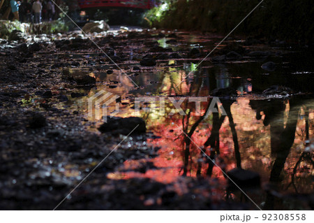 晩秋の小国神社 晩秋の小国神社 92308558