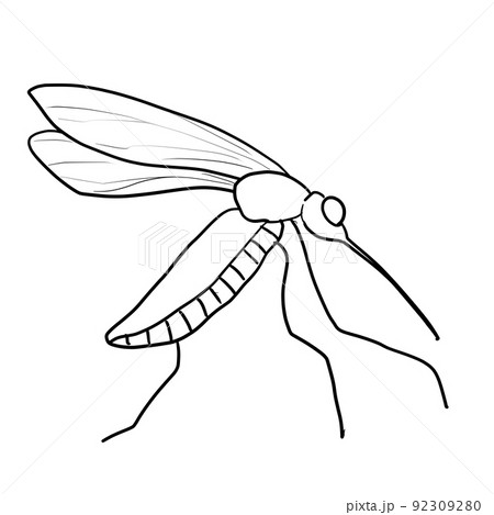 Mosquito Drawing Stock Illustrations – 4,391 Mosquito Drawing Stock  Illustrations, Vectors & Clipart - Dreamstime