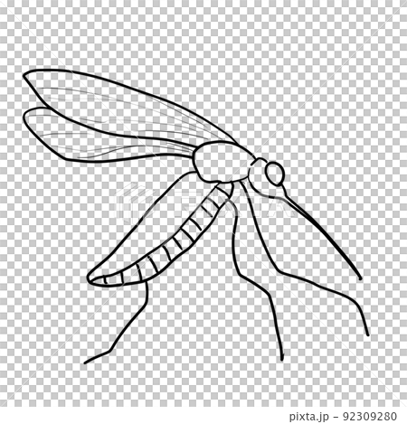 Flying mosquito black and white - Stock Illustration [102570887] - PIXTA
