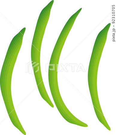 いんげん豆　四本 92310705