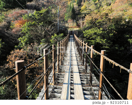 樅木吊橋 しゃくなげ橋 熊本県八代市泉町樅木 樅木吊橋 しゃくなげ橋 熊本県八代市泉町樅木 92310711